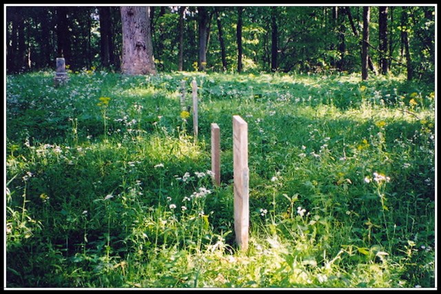 Cooper Wildflowers